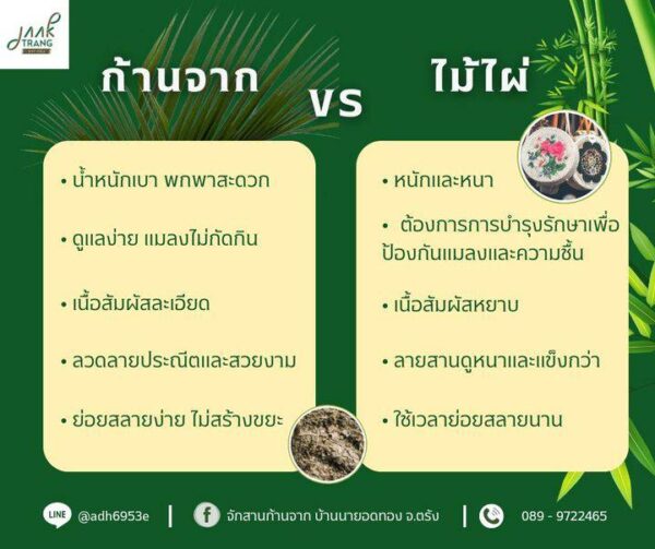 กระเป๋าปารีส