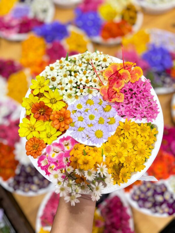 Edible flowers