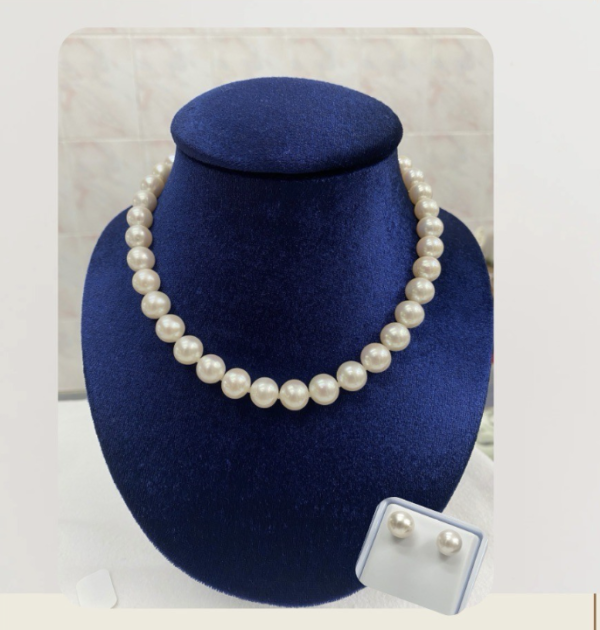 Fresh Water Pearl Necklace & Earrings Stud