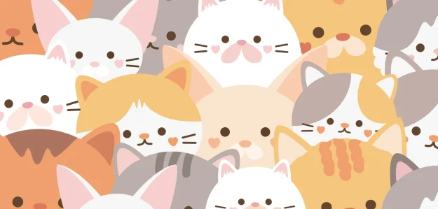 Cat Shop