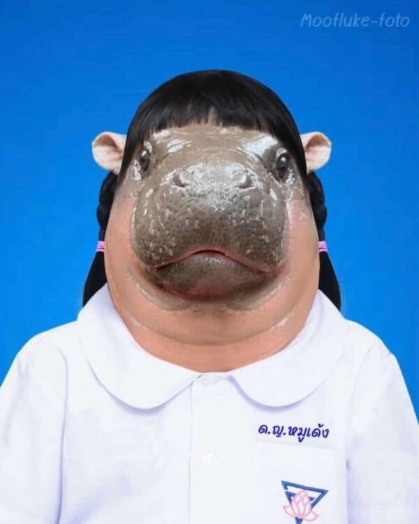 น้ำหมักหมูปิ้ง