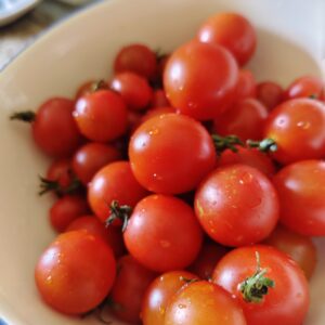 มะเขือเทศ cherry tomatoes ปลอดสาร