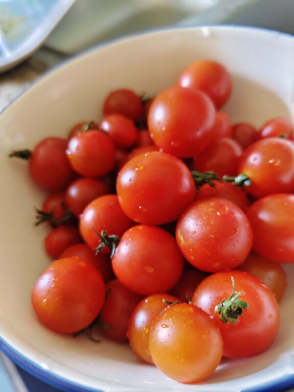 มะเขือเทศ cherry tomatoes ปลอดสาร