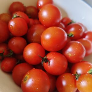 มะเขือเทศ cherry tomatoes ปลอดสาร